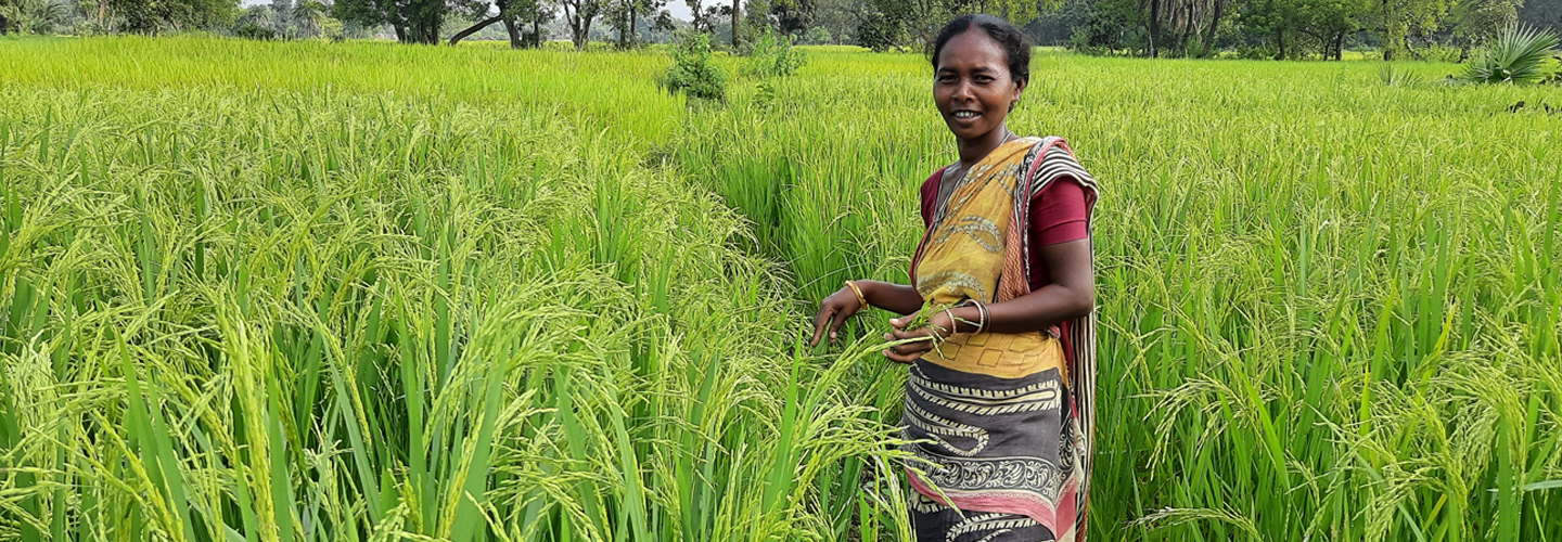 Drawing eight key lessons for policy recommendation from a climate change adaptation program for smallholder-farmers in a semi-arid region of India 