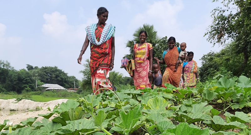 Informing policy-making through lessons distilled from a climate adaptation program-img