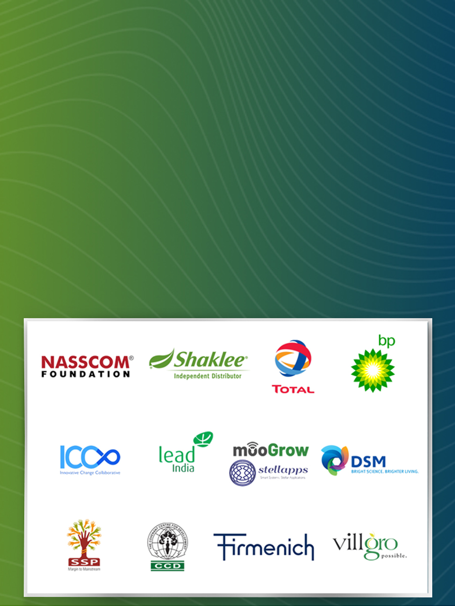 What Our Clients <br /> Are Saying