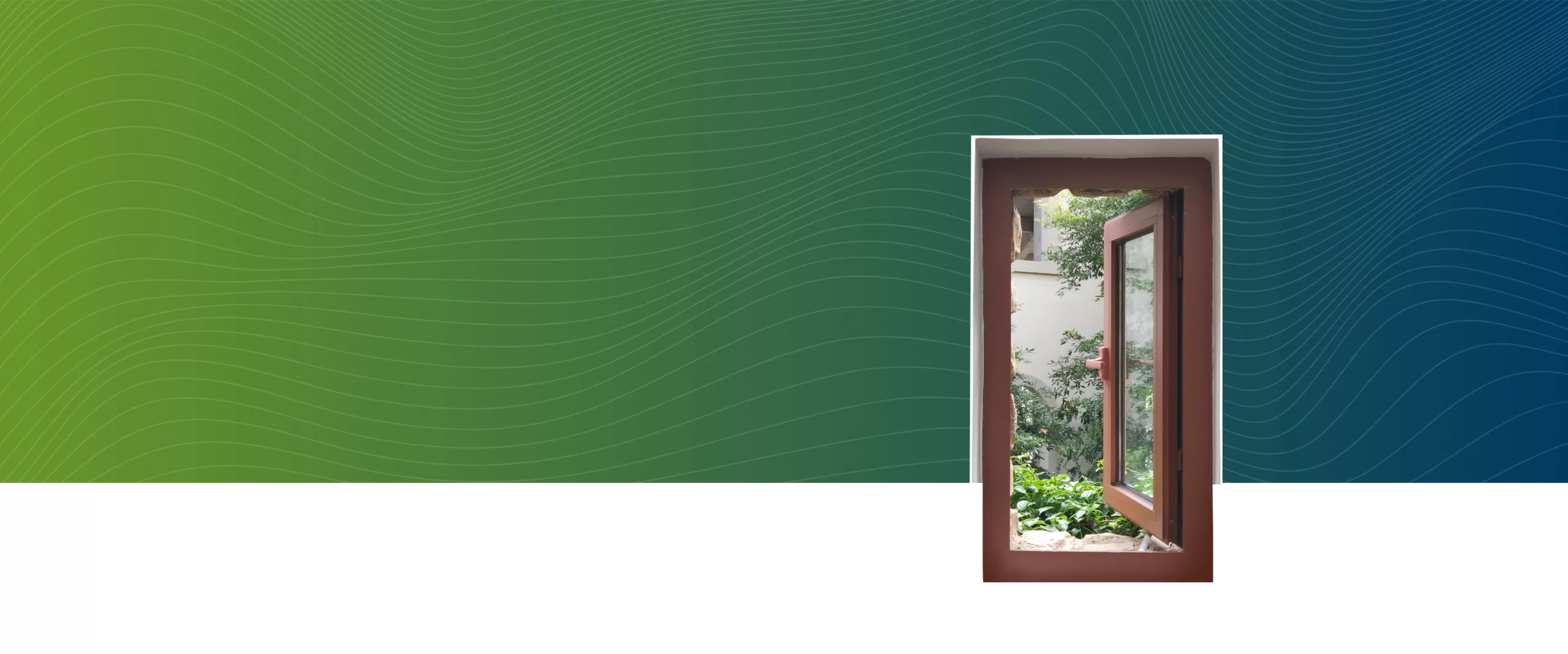 External <br>Publications