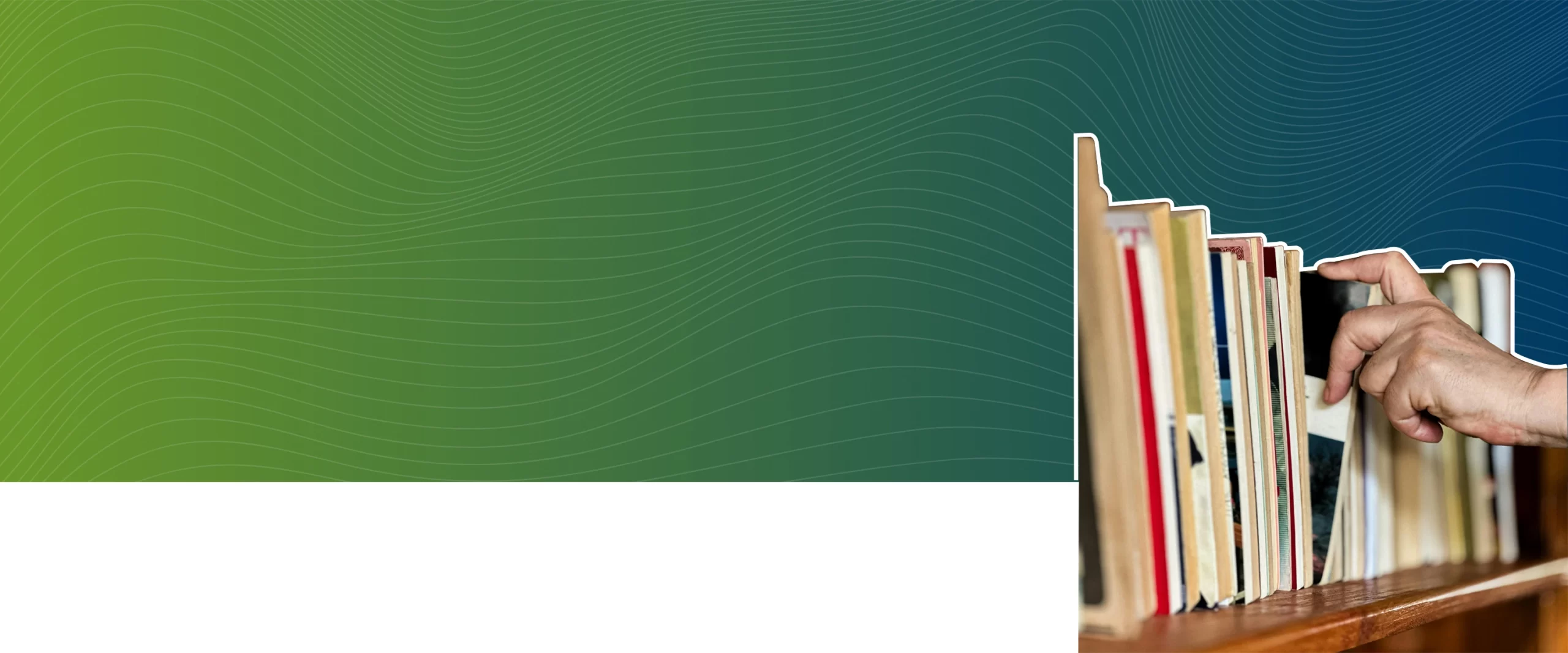 Recent Developments, <br /> Key Innovations, and <br /> Insightful Reports