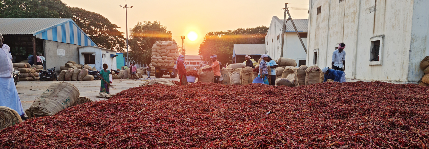 Supported an AI agri-tech firm in transitioning from lab to market through iterative field research, value proposition validation, and pilot refinement to design a scalable go-to-market strategy in India.